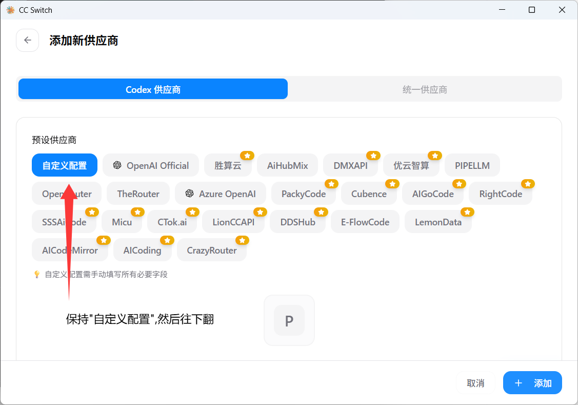 CC-Switch 自定义配置填写截图 1